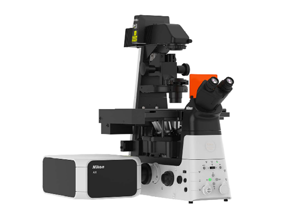 共聚焦和多光子