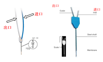干货分享：微透析技术活体采样的protocol